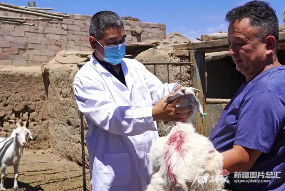 无码人妻少妇色欲AV一区二区