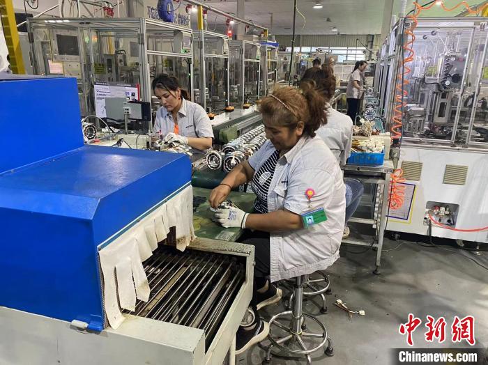 无码人妻少妇色欲AV一区二区