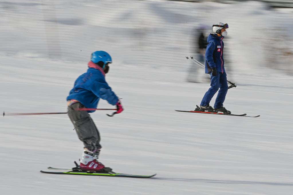 无码人妻少妇色欲AV一区二区
