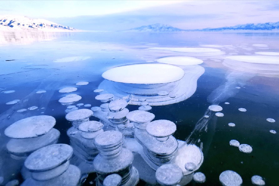 无码人妻少妇色欲AV一区二区