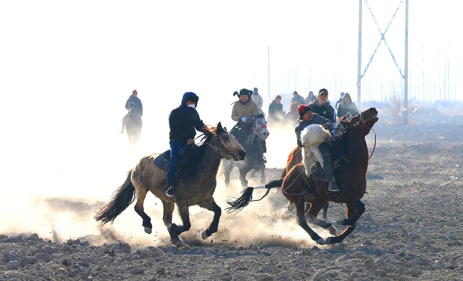 无码人妻少妇色欲AV一区二区
