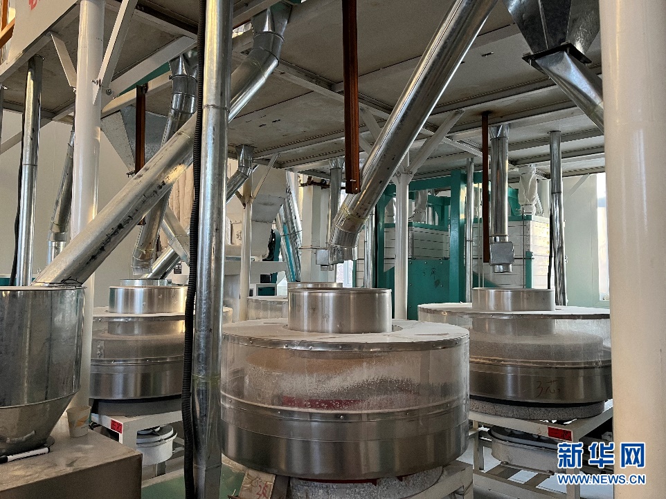 无码人妻少妇色欲AV一区二区