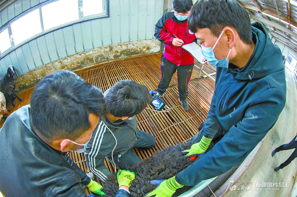 无码人妻少妇色欲AV一区二区