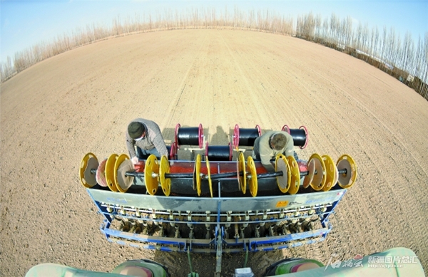 无码人妻少妇色欲AV一区二区