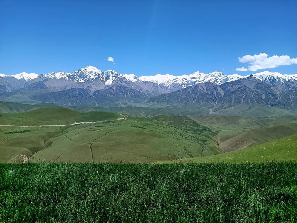 无码人妻少妇色欲AV一区二区