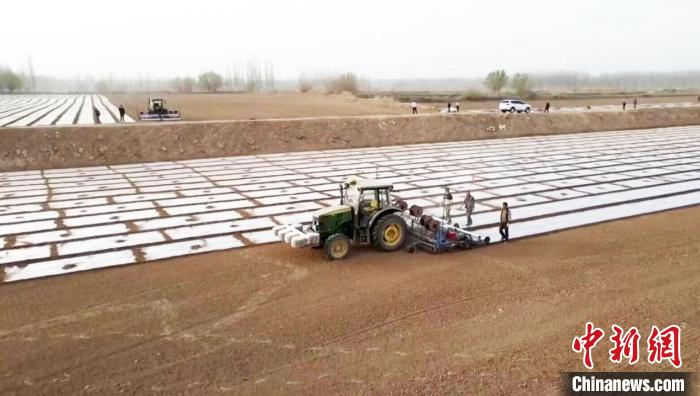 无码人妻少妇色欲AV一区二区