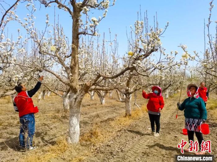 无码人妻少妇色欲AV一区二区