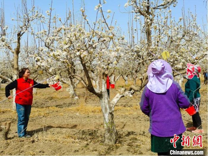 无码人妻少妇色欲AV一区二区