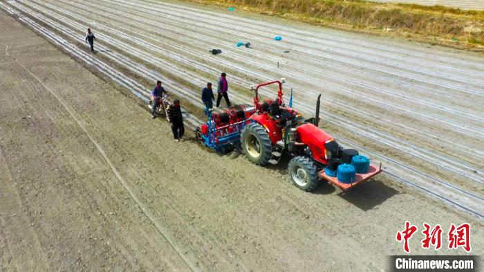 无码人妻少妇色欲AV一区二区