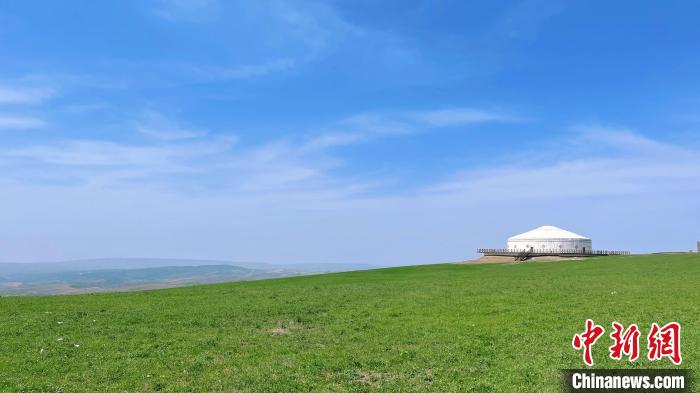 无码人妻少妇色欲AV一区二区