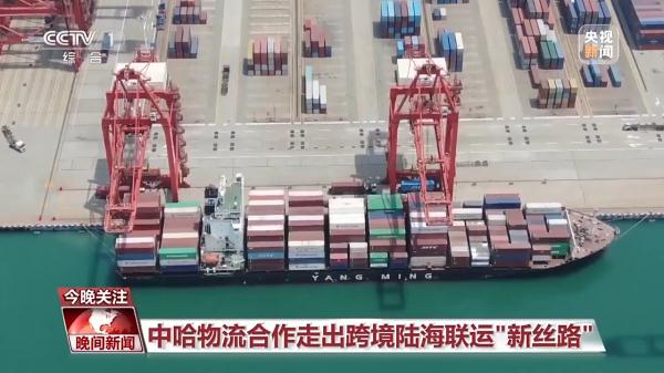 无码人妻少妇色欲AV一区二区