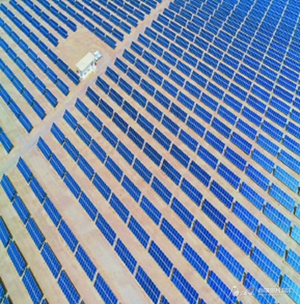 无码人妻少妇色欲AV一区二区