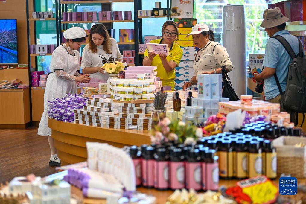 无码人妻少妇色欲AV一区二区