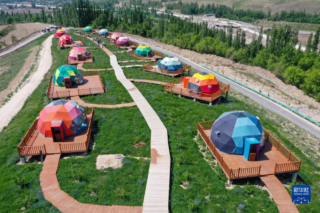 无码人妻少妇色欲AV一区二区