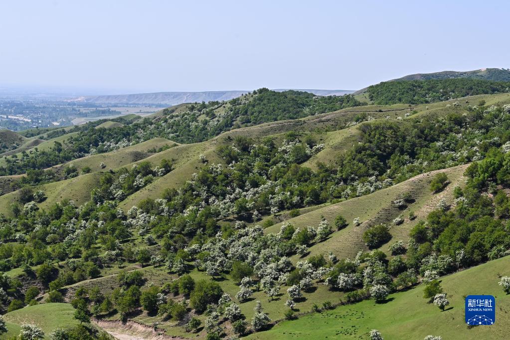 无码人妻少妇色欲AV一区二区