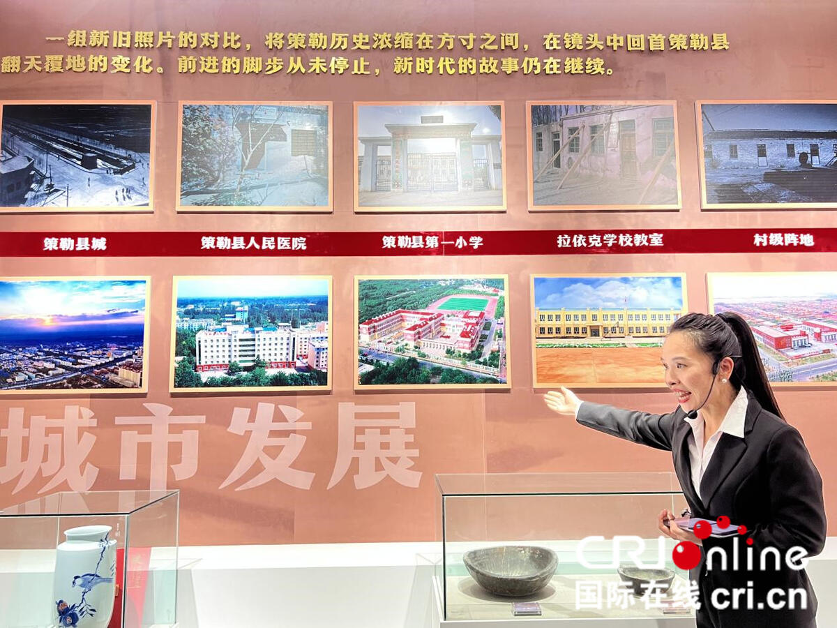 无码人妻少妇色欲AV一区二区