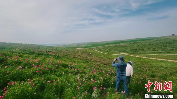 无码人妻少妇色欲AV一区二区