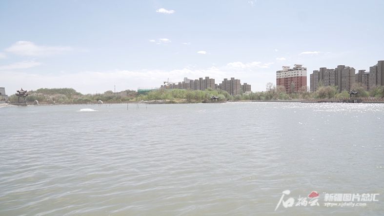 无码人妻少妇色欲AV一区二区