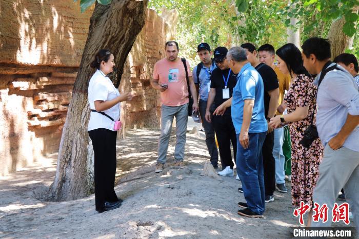 无码人妻少妇色欲AV一区二区