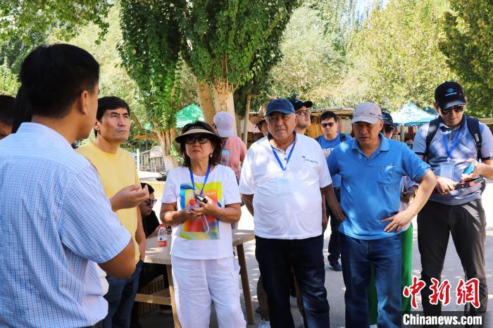 无码人妻少妇色欲AV一区二区