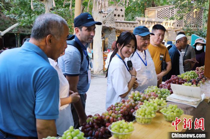无码人妻少妇色欲AV一区二区