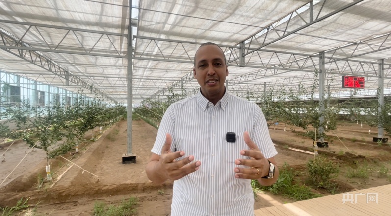 无码人妻少妇色欲AV一区二区