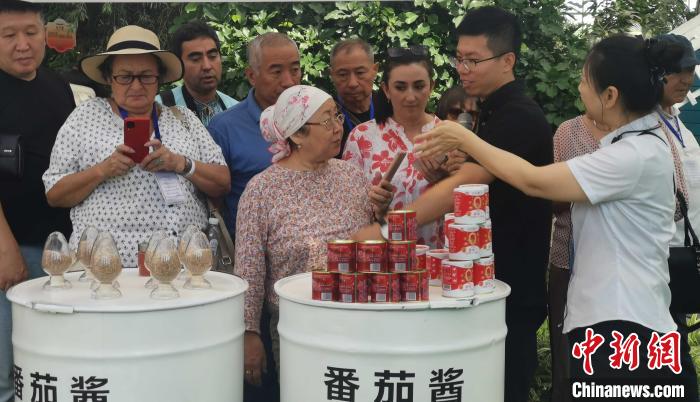 无码人妻少妇色欲AV一区二区