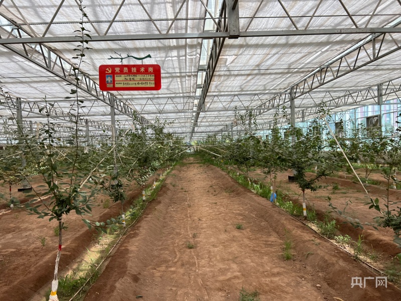 无码人妻少妇色欲AV一区二区