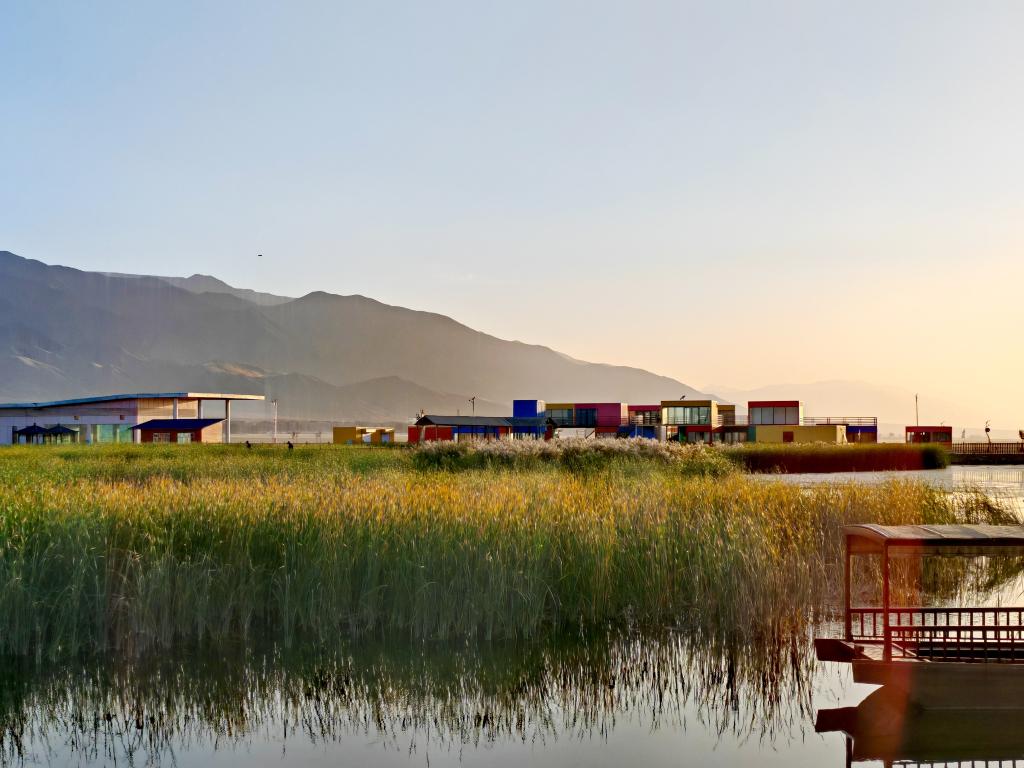 无码人妻少妇色欲AV一区二区