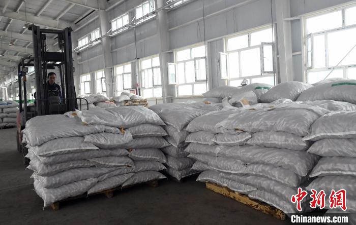 无码人妻少妇色欲AV一区二区