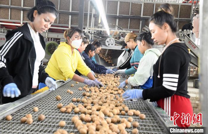 无码人妻少妇色欲AV一区二区