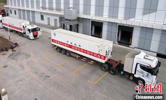 无码人妻少妇色欲AV一区二区