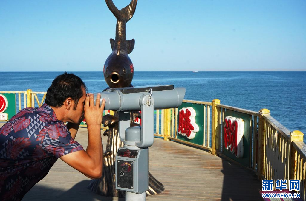 无码人妻少妇色欲AV一区二区