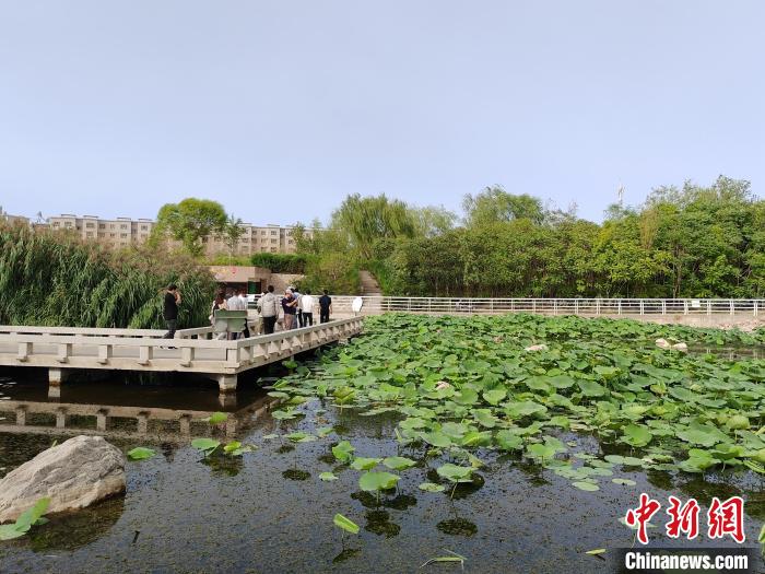 无码人妻少妇色欲AV一区二区