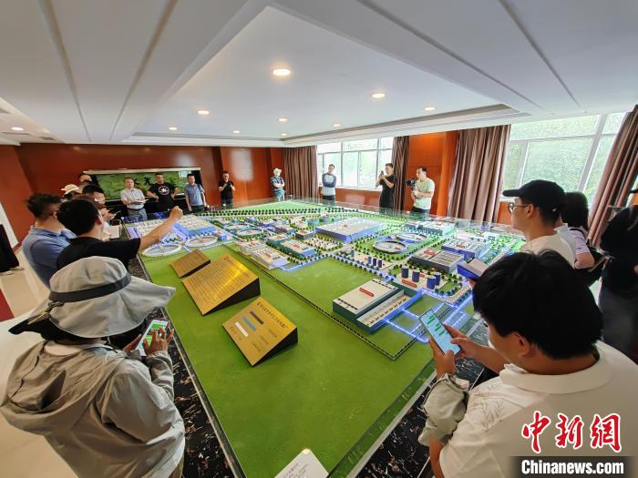 无码人妻少妇色欲AV一区二区