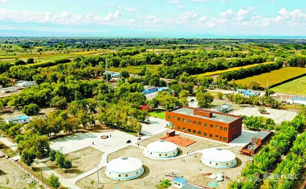 无码人妻少妇色欲AV一区二区