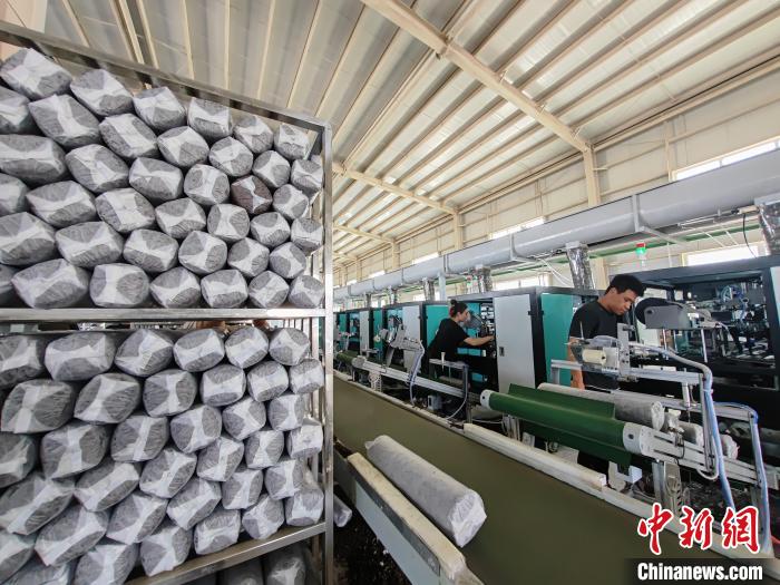 无码人妻少妇色欲AV一区二区