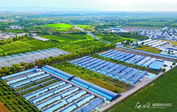 无码人妻少妇色欲AV一区二区