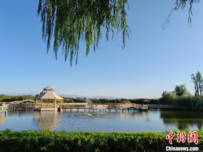 无码人妻少妇色欲AV一区二区