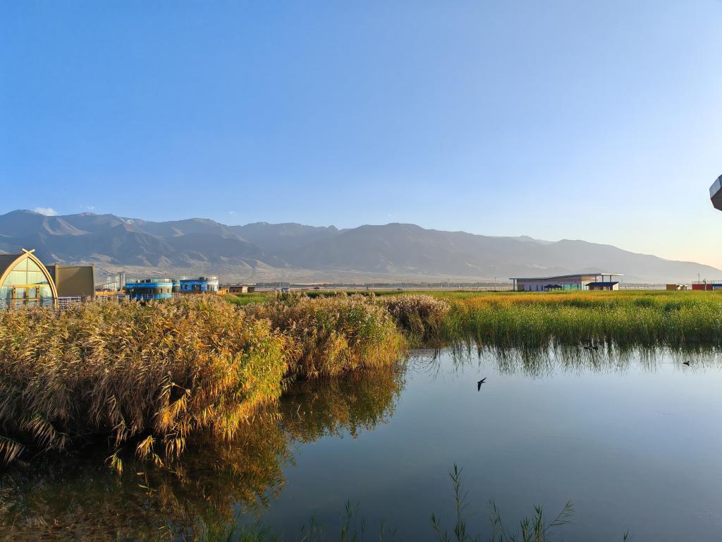 无码人妻少妇色欲AV一区二区