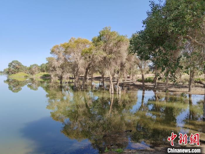 无码人妻少妇色欲AV一区二区