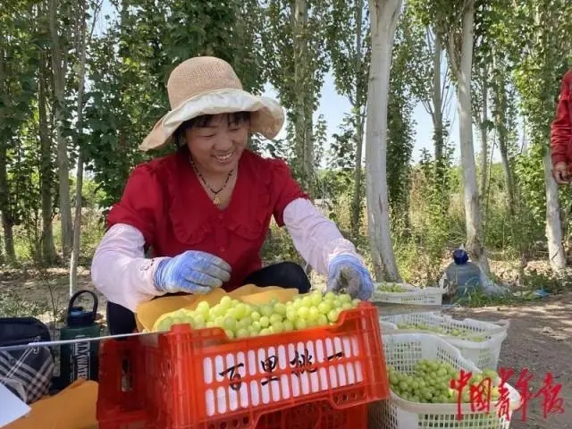 无码人妻少妇色欲AV一区二区