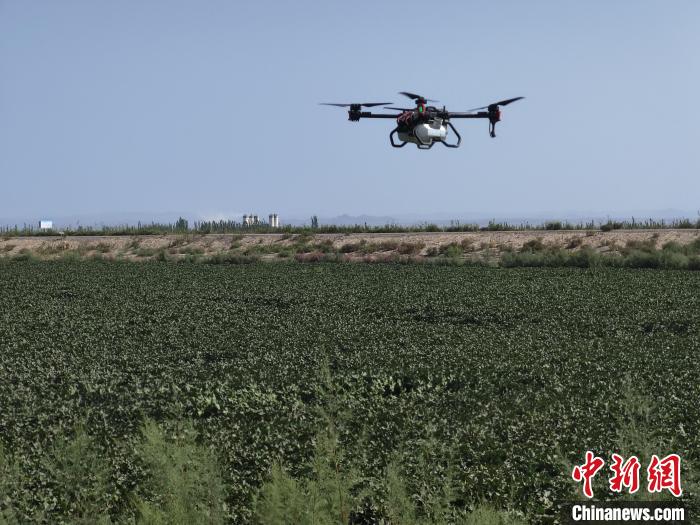 无码人妻少妇色欲AV一区二区