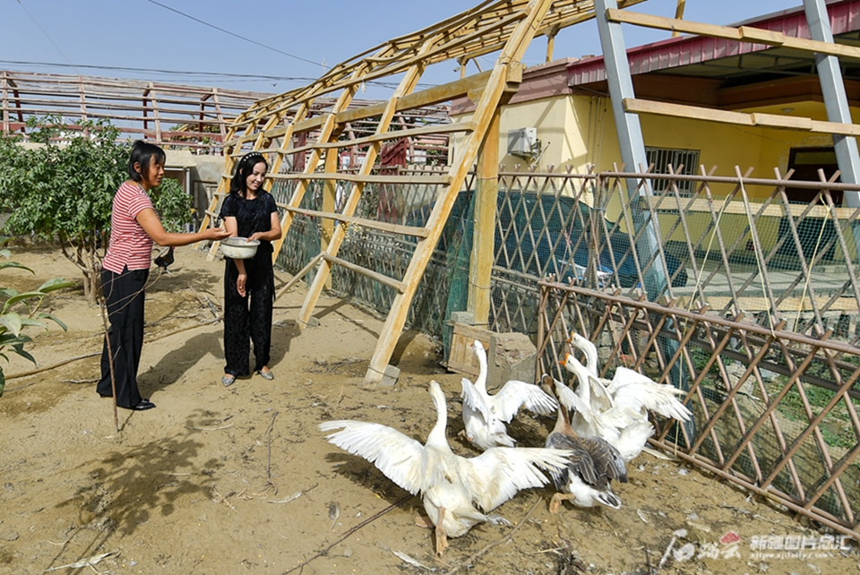 无码人妻少妇色欲AV一区二区