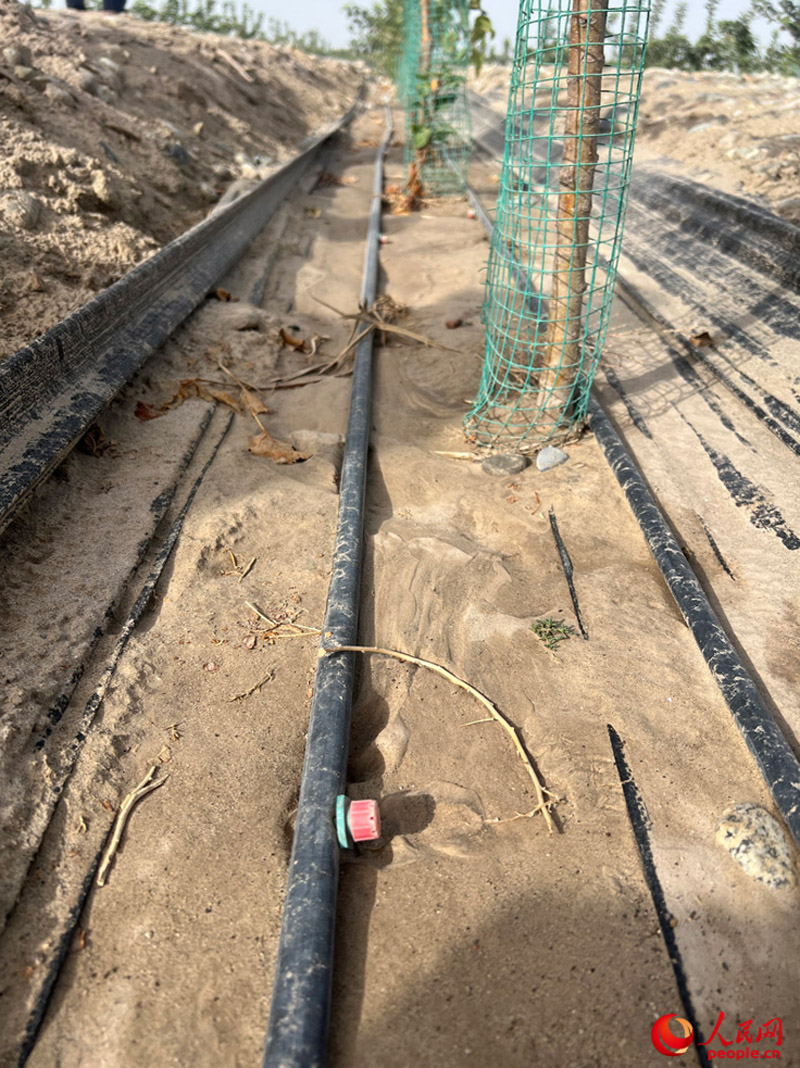 无码人妻少妇色欲AV一区二区