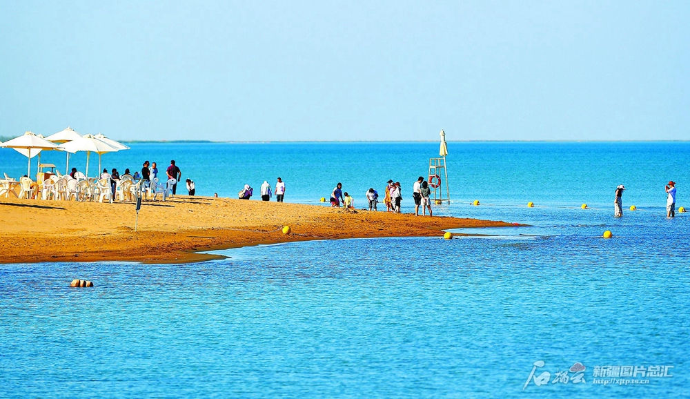 无码人妻少妇色欲AV一区二区