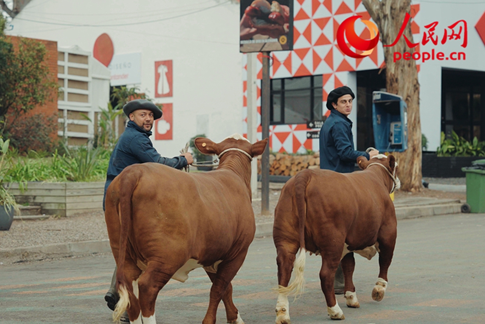 无码人妻少妇色欲AV一区二区