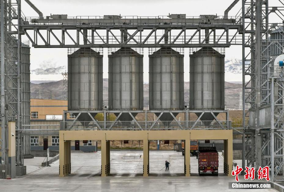 无码人妻少妇色欲AV一区二区