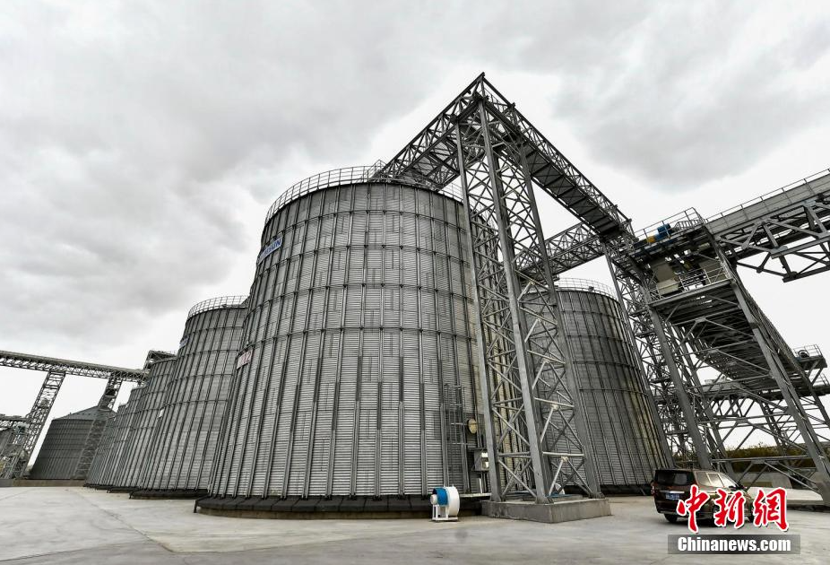 无码人妻少妇色欲AV一区二区