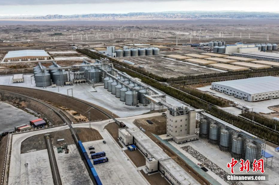 无码人妻少妇色欲AV一区二区